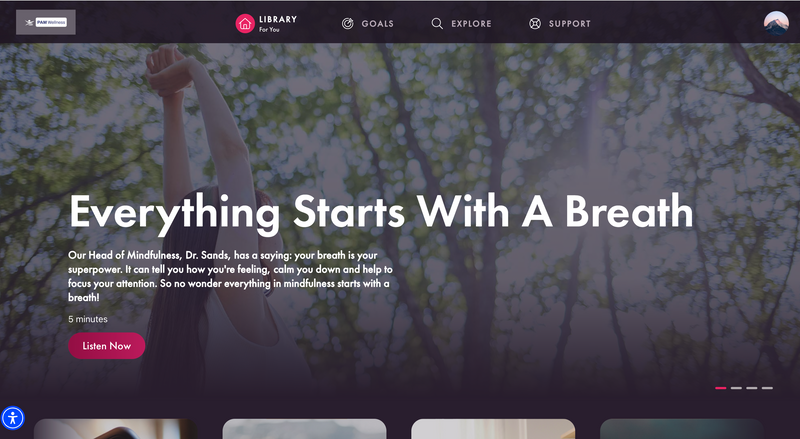 Pam Wellness app desktop interface